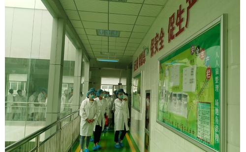 值公司成立十周年慶典，公司贊助萬名老人免費游寧夏系列活動